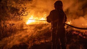 Bombero de espaldas frente a incendio en campo
